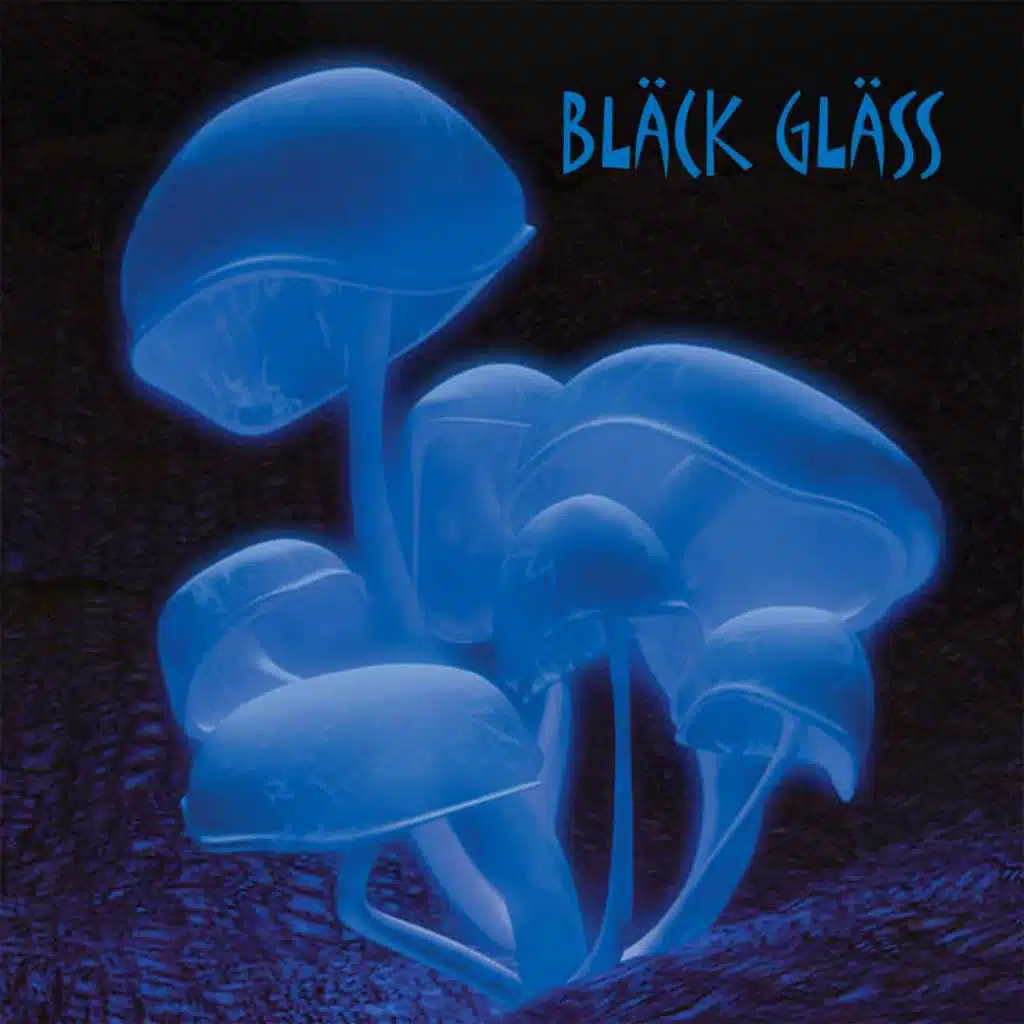 The Magic Mushroom / Jellyfish