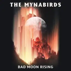 The Mynabirds