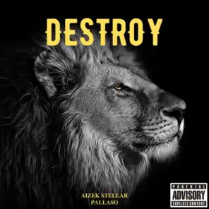 Destroy (feat. Pallaso)