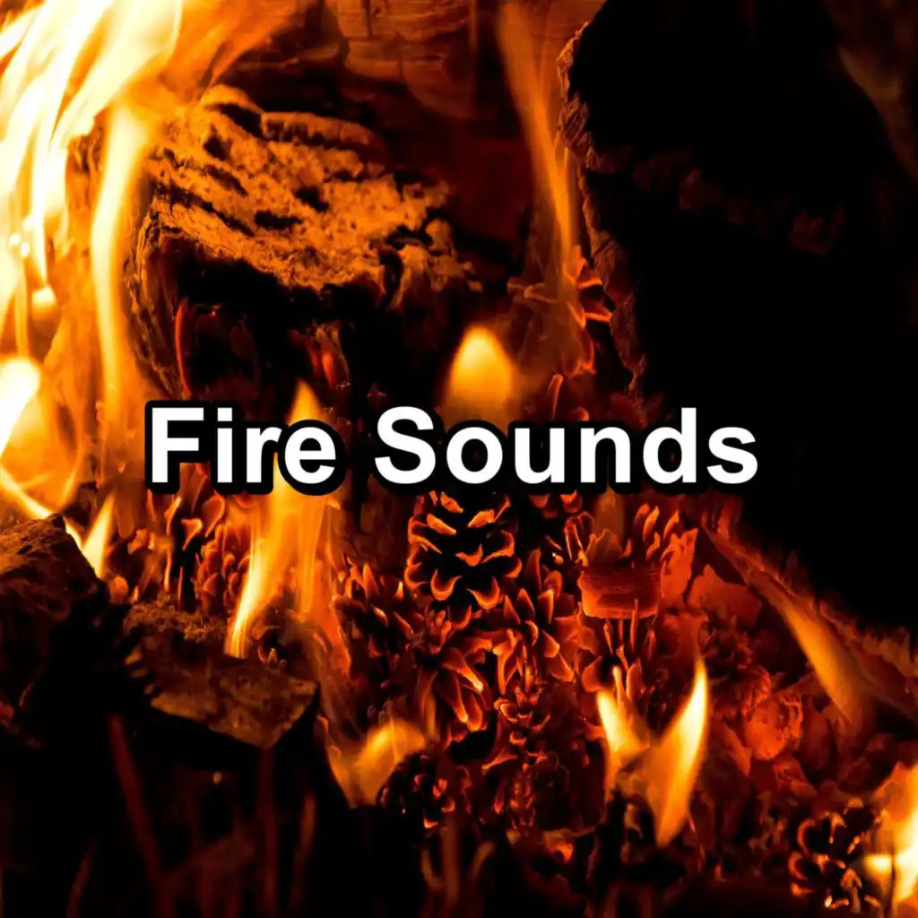 ASMR Campfire Sound