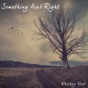 Something Ain't Right (feat. Marc Robillard)