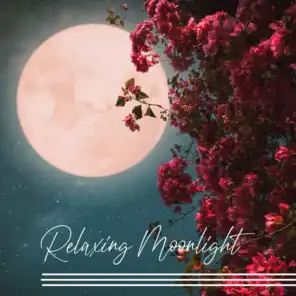 Moonlight Mix