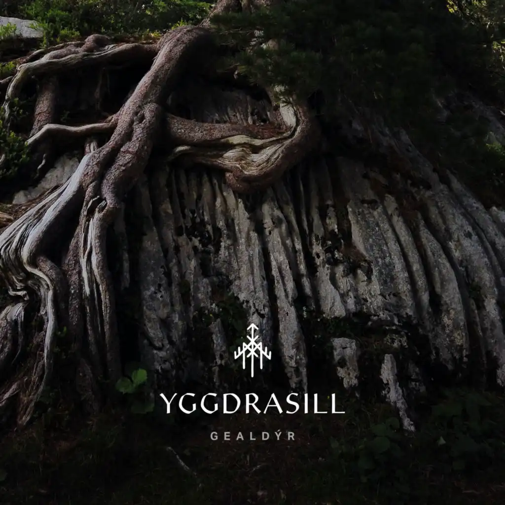 Yggdrasill