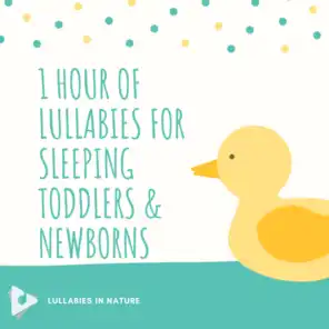 1 Hour of Lullabies for Sleeping Toddlers & Newborns