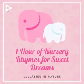 Lullabyes & Lullabies In Nature