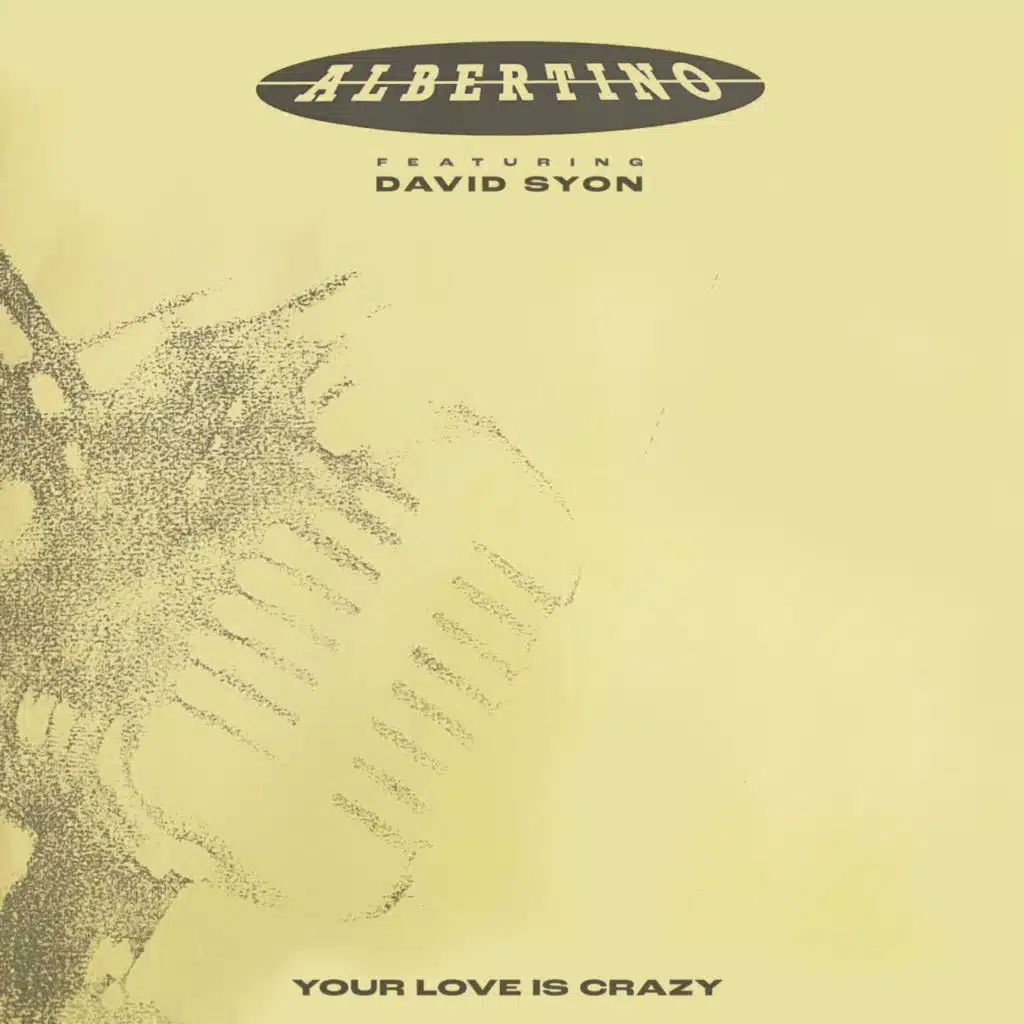 Your Love Is Crazy (feat. David Syon)