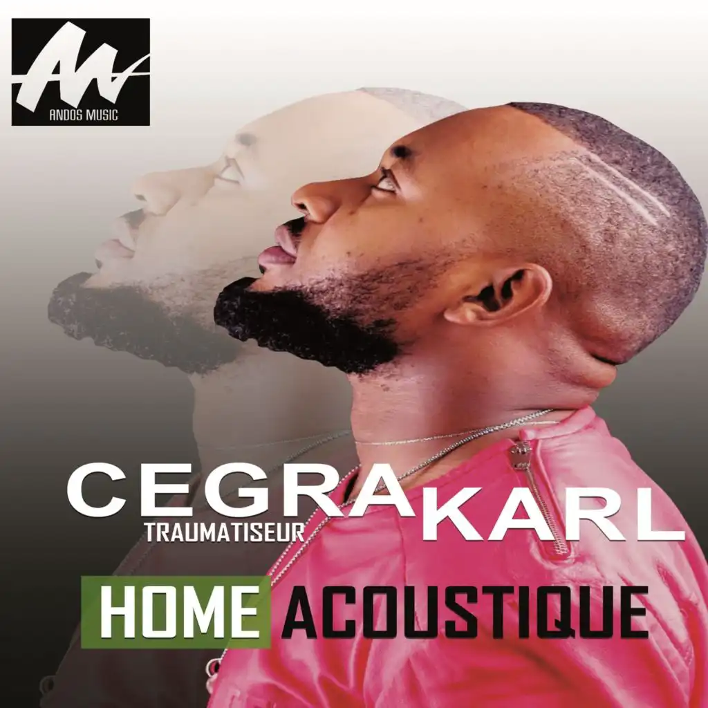 Chagrin (Acoustique)