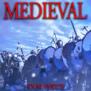 Large Medieval Battle with Sword and Armour Clanks