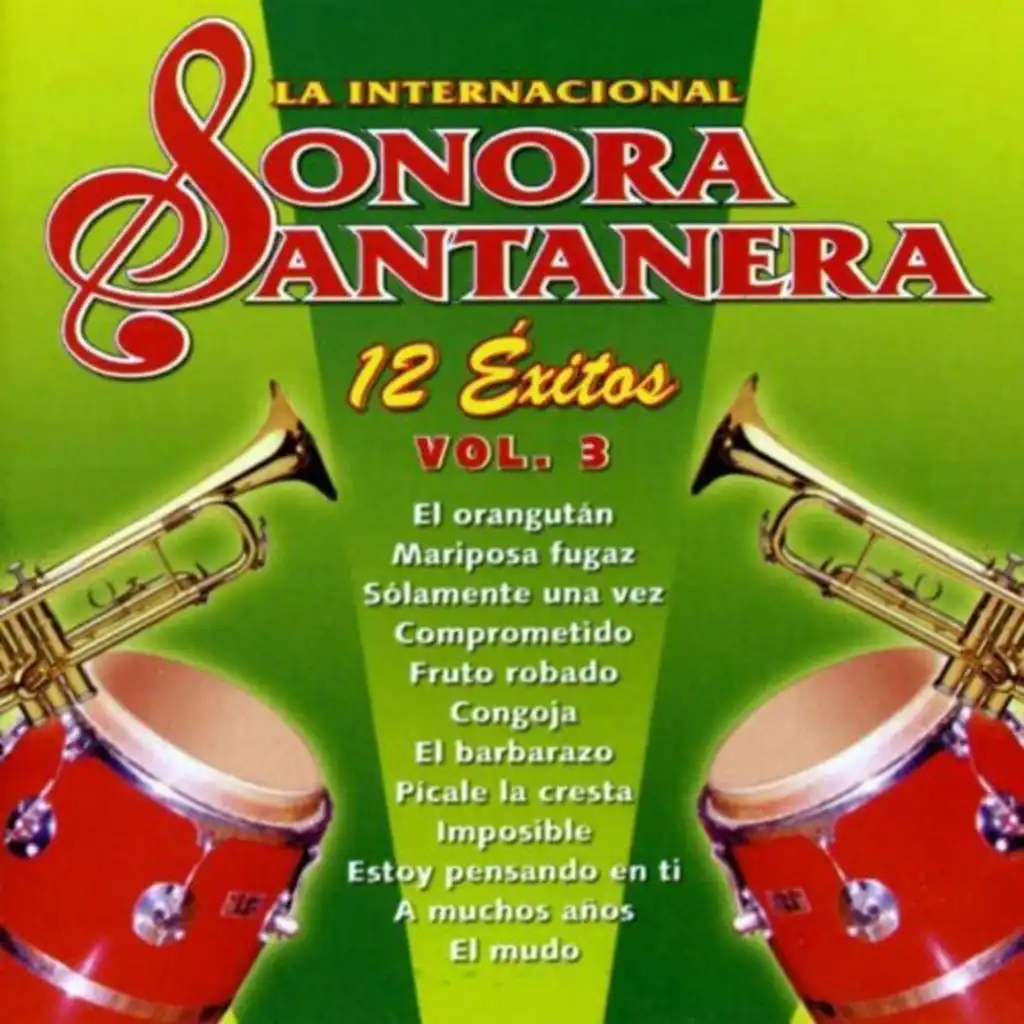 12 Exitos la Internacional Sonora Santanera, Vol. 3