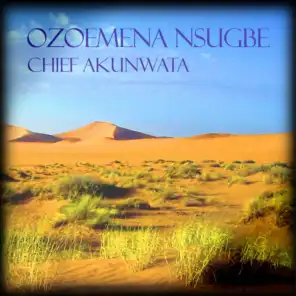 Chief Akunwata
