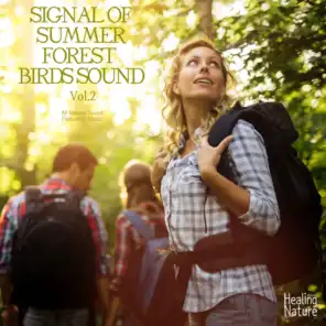 여름을 알리는 숲의 새소리들 Signal of Summer Forest Birds Sound Vol. 2