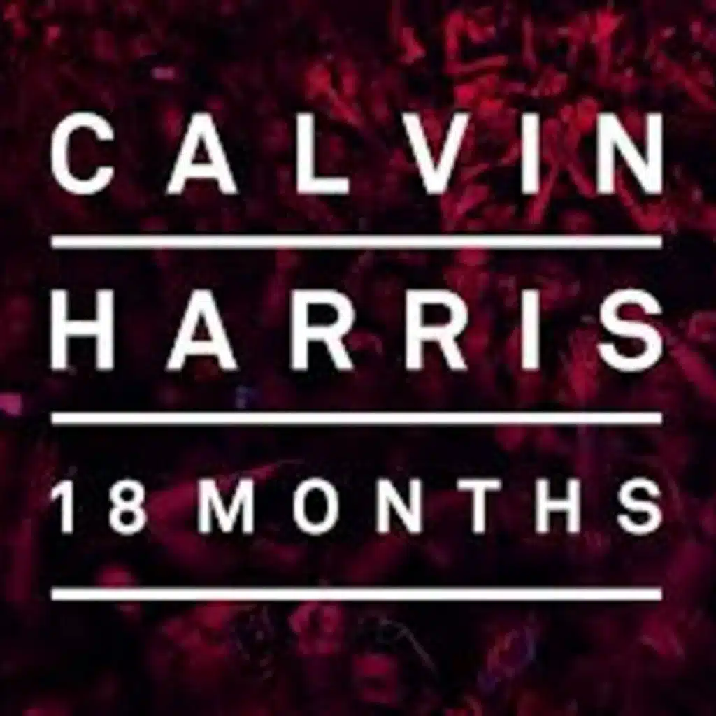 Drinking From The Bottle Ft. Tinie Tempah