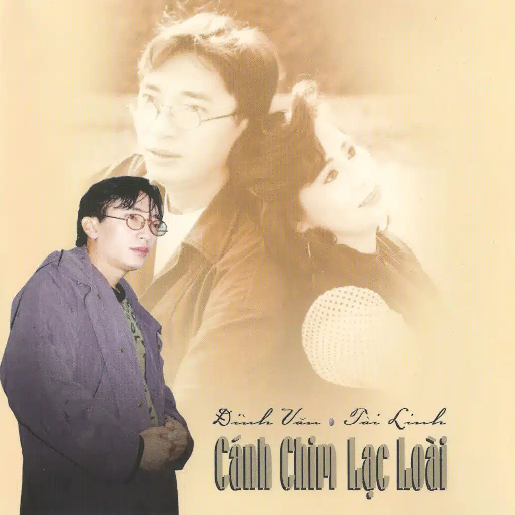 Cánh Chim Lạc Loài