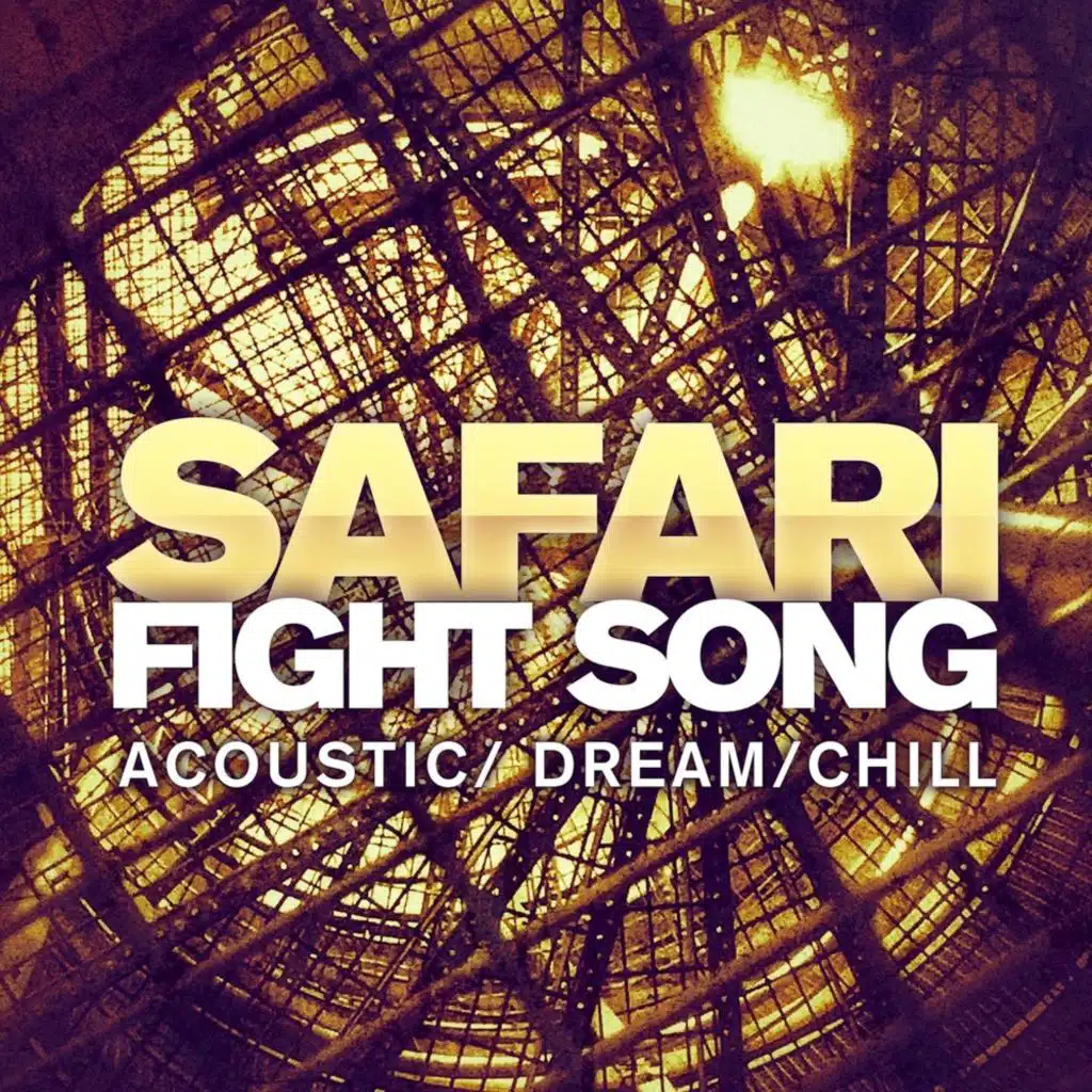 Fight Song (Acoustic version)