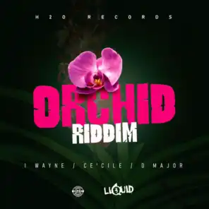 Orchid Riddim