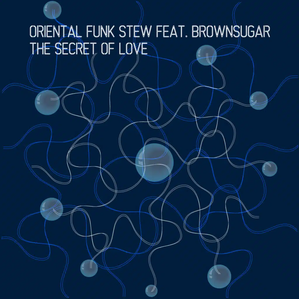 Oriental Funk Stew