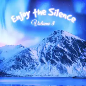 Enjoy the Silence, Vol. 8