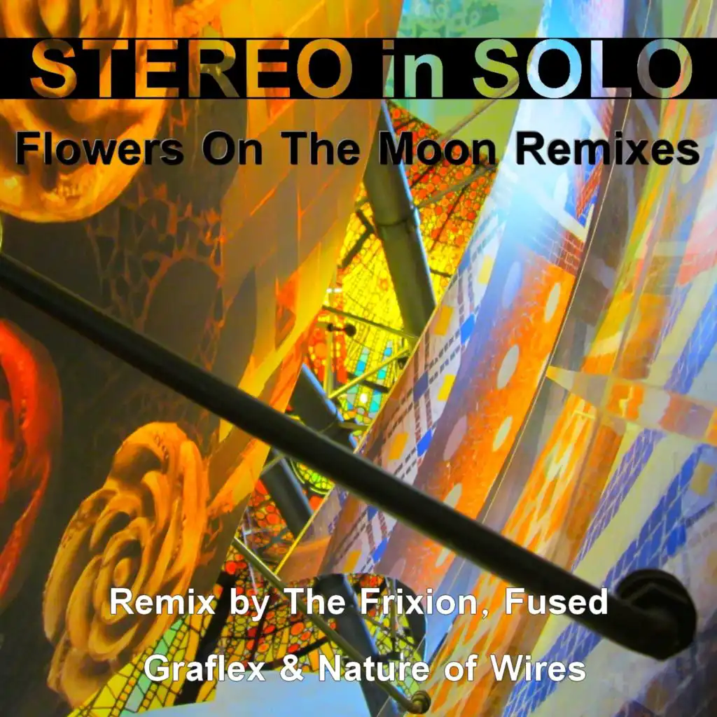 Flowers on the Moon (The Frixion Single Remix)