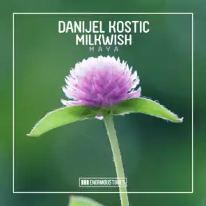 Danijel Kostic & Milkwish