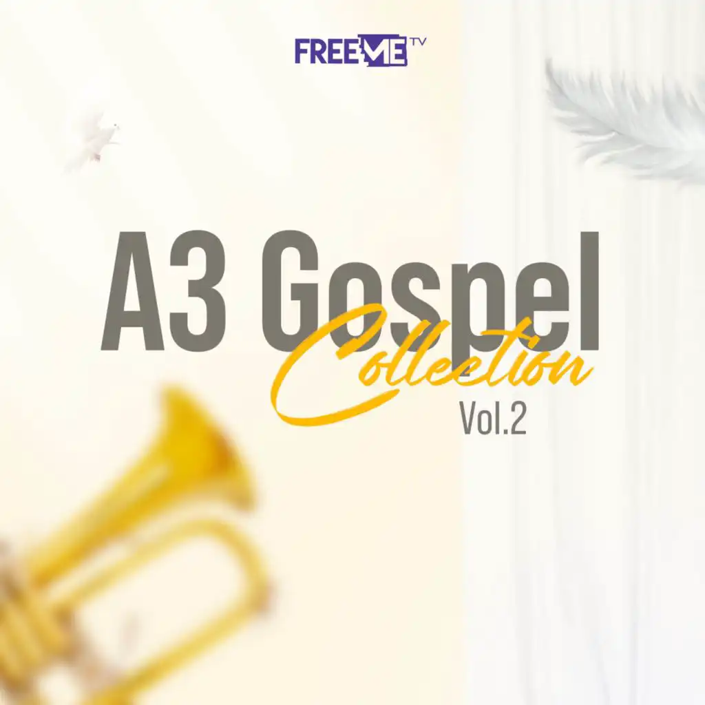 A3 Gospel Collection Vol. 2