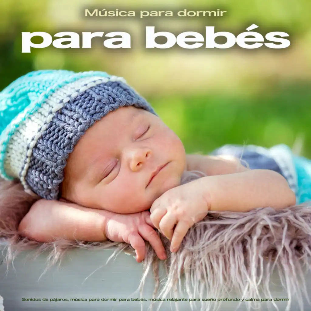 Música para dormir para bebés: Sonidos de pájaros, música para dormir para bebés, música relajante para sueño profundo y calma para dormir