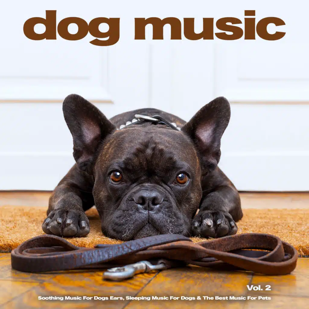 Soothing Music For Dogs Ears