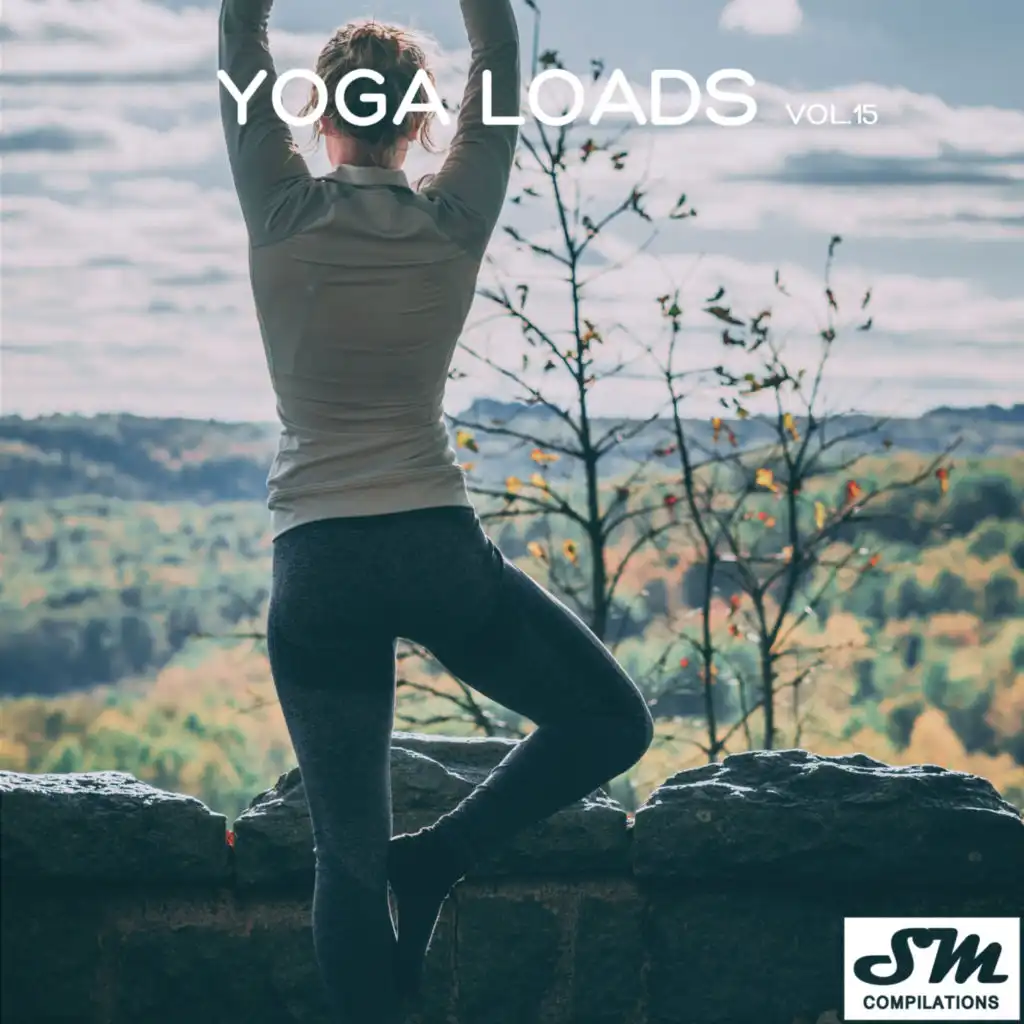 Yoga Loads, Vol. 15