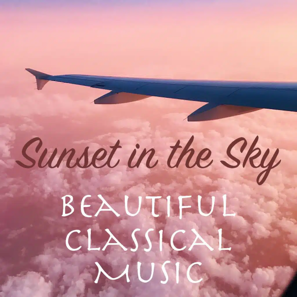 24 Caprices for Violin Solo, Op. 1: X