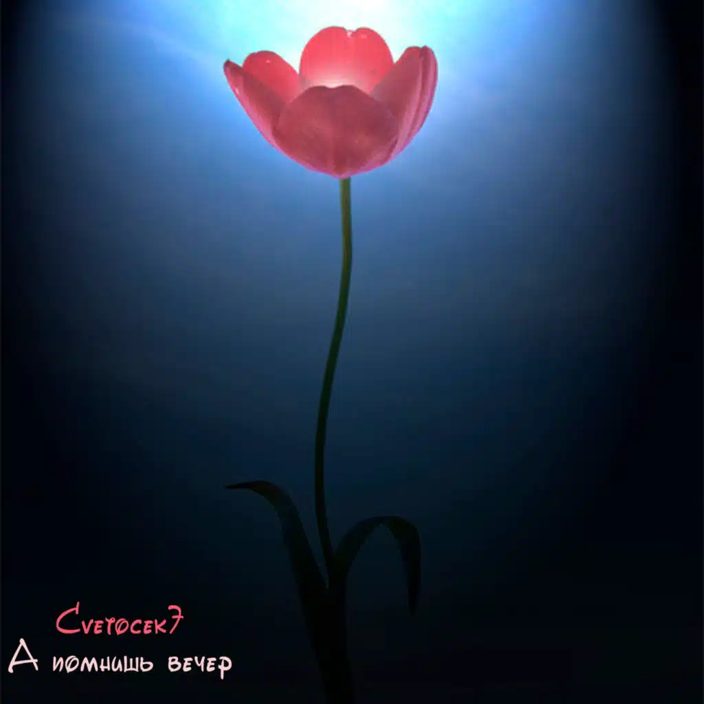 Этой ночью я умру (SWERODO Remix)