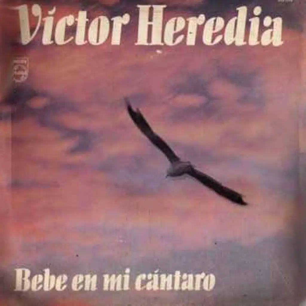 De Cartón Multicolor