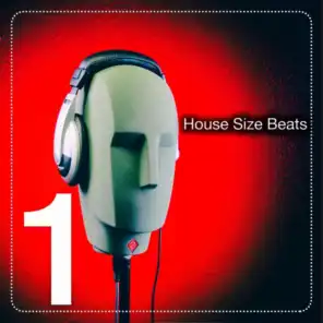 House Size Beats, Vol. 1 (The House Beats)