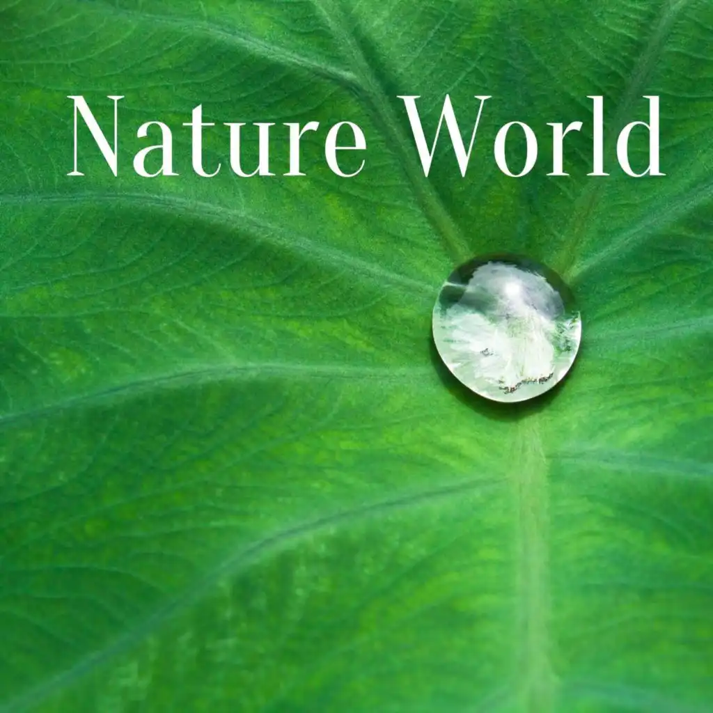 Nature World: Soothing Sounds for Meditation, Spa, Yoga, Sleep