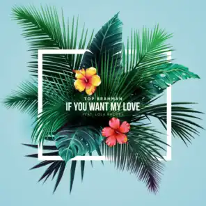 If You Want My Love (feat. Top Brahman & Lola Rhodes)