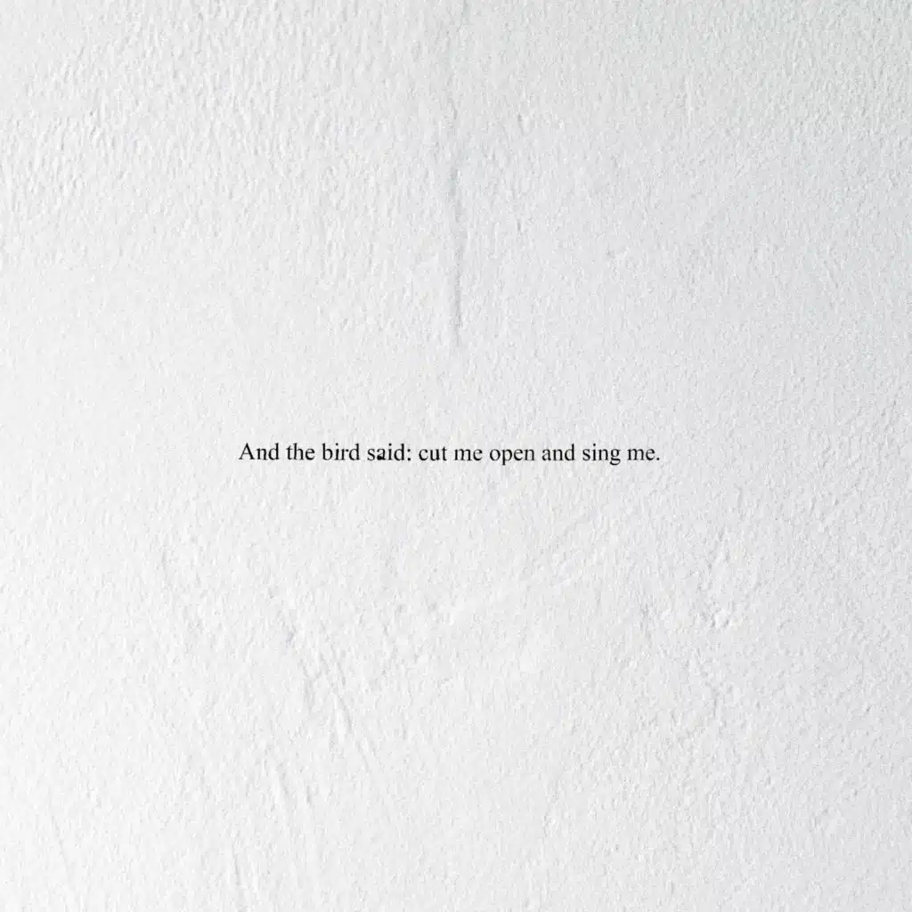 And the Bird Said: Cut Me Open and Sing Me