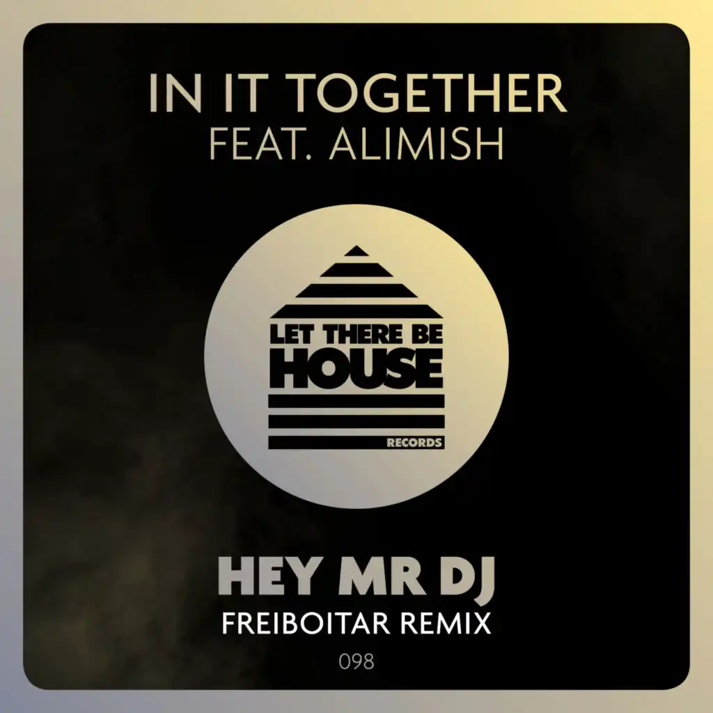 Hey Mr DJ (Freiboitar Remix)