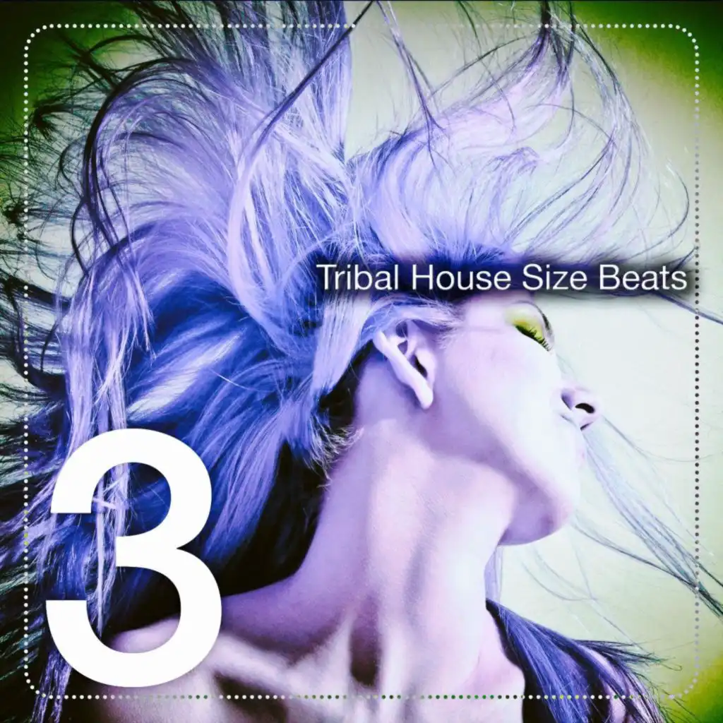 Tribal House Size Beats, Vol. 3 (The Tribal House Beats)