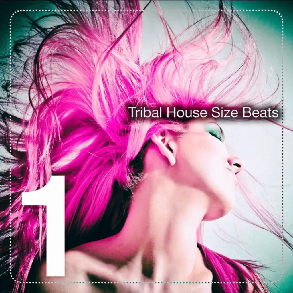 Tribal House Size Beats, Vol. 1 (The Tribal House Beats)