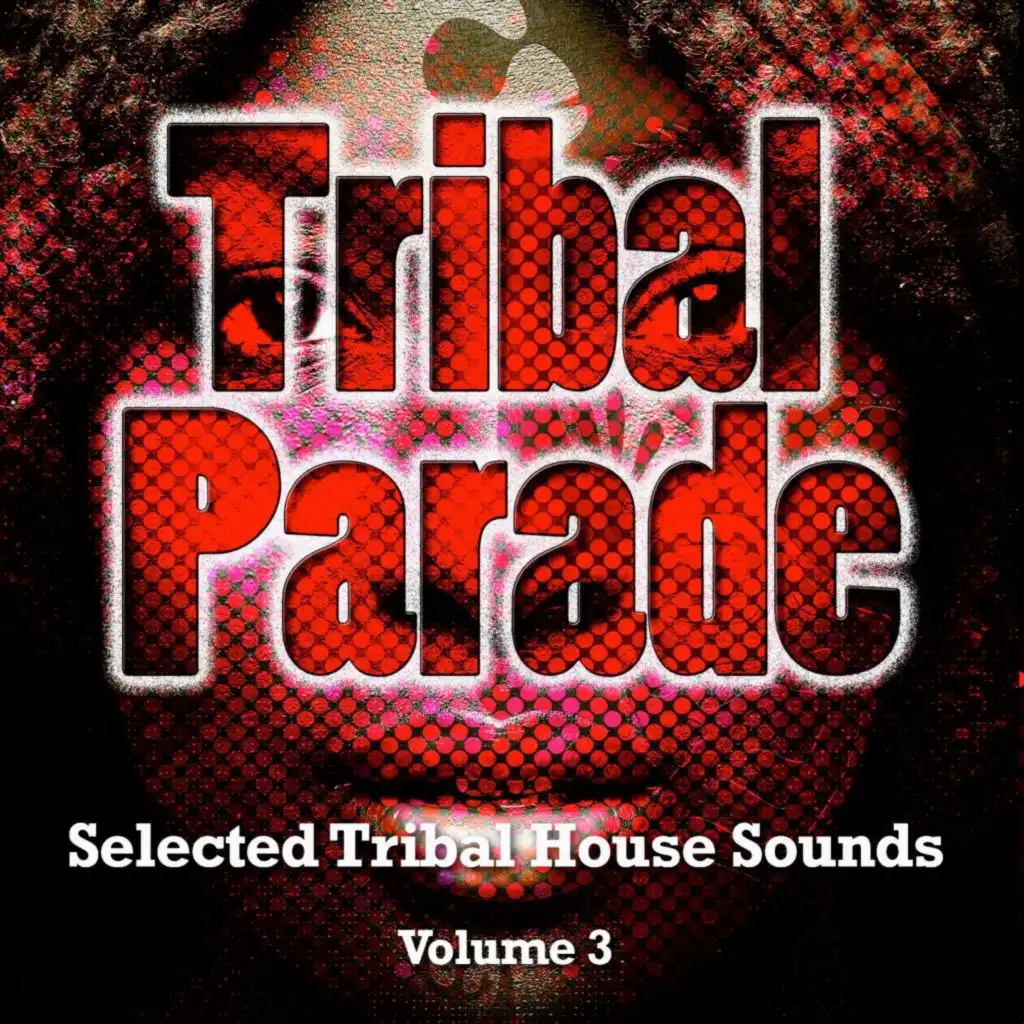 Tribal Parade, Vol. 3 (Selected Tribal House Sounds)