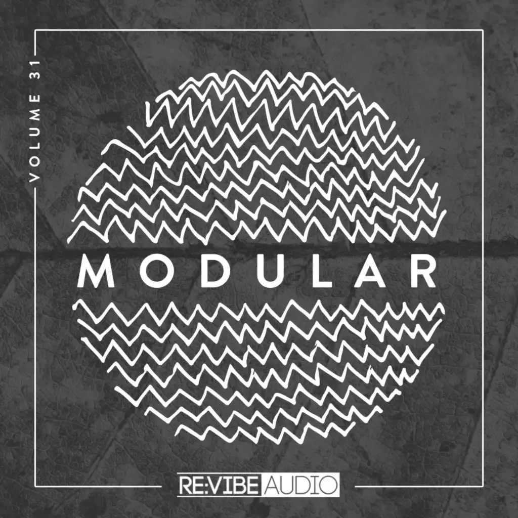 Modular, Vol. 31