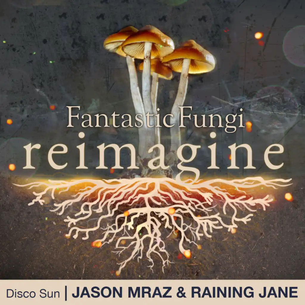 Jason Mraz & Raining Jane