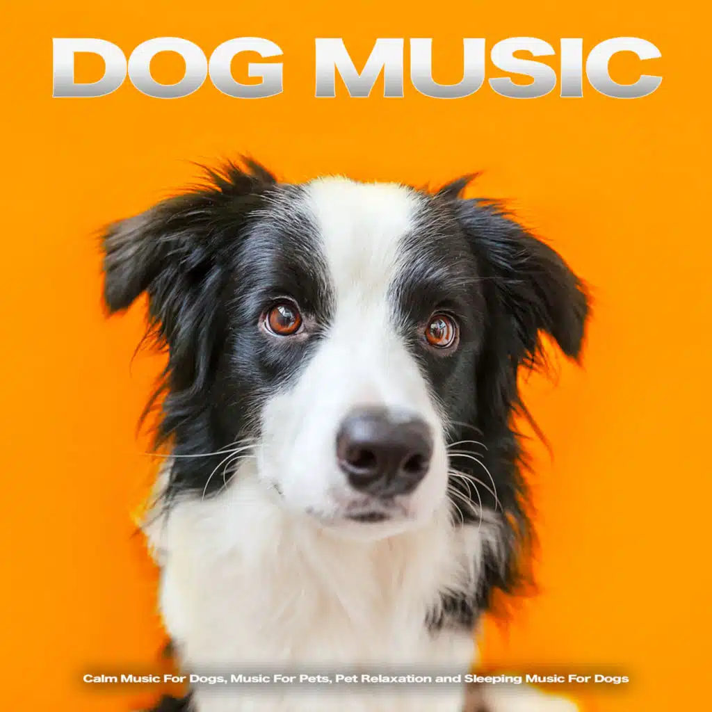 Dog Music for Pets
