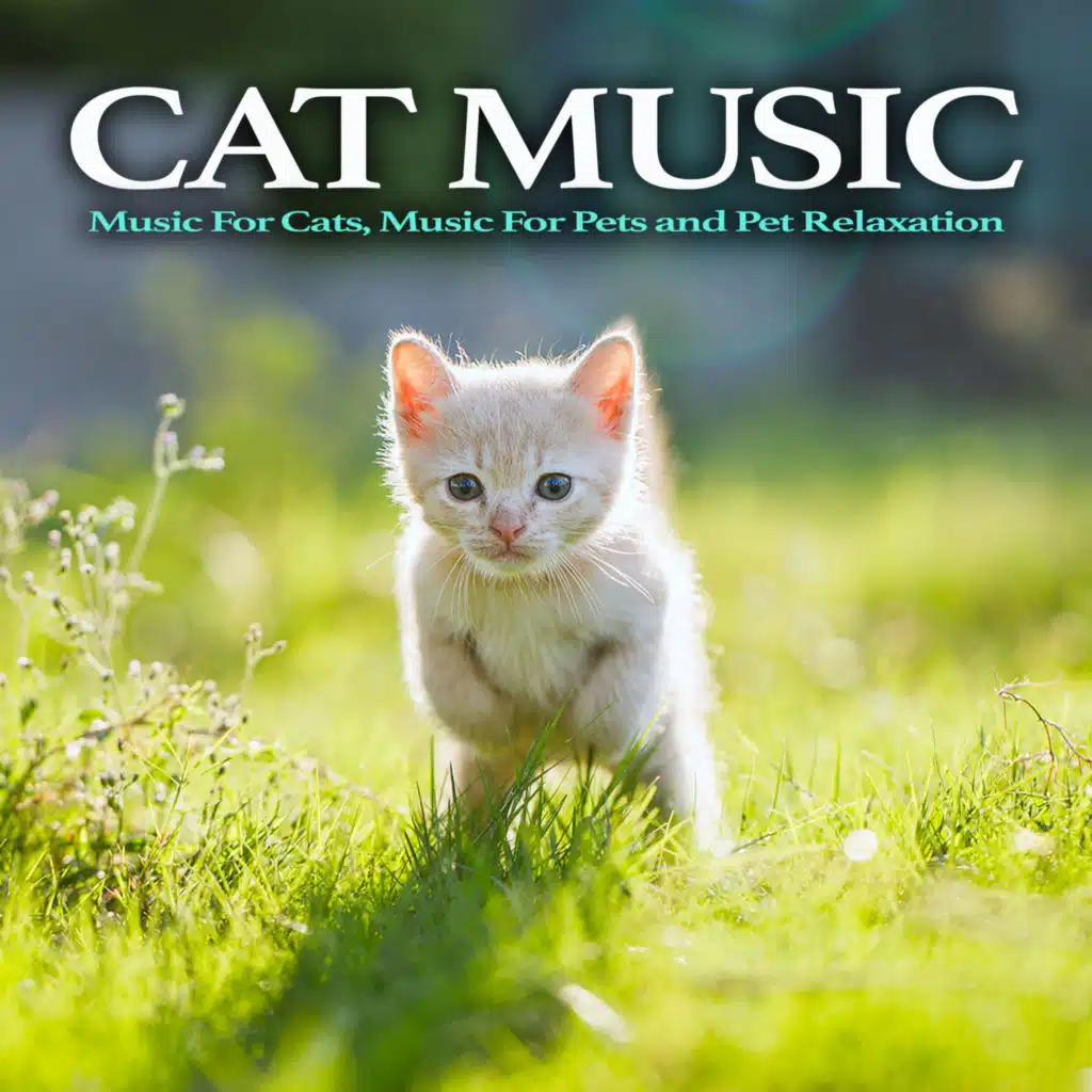 Pet Relaxation Music
