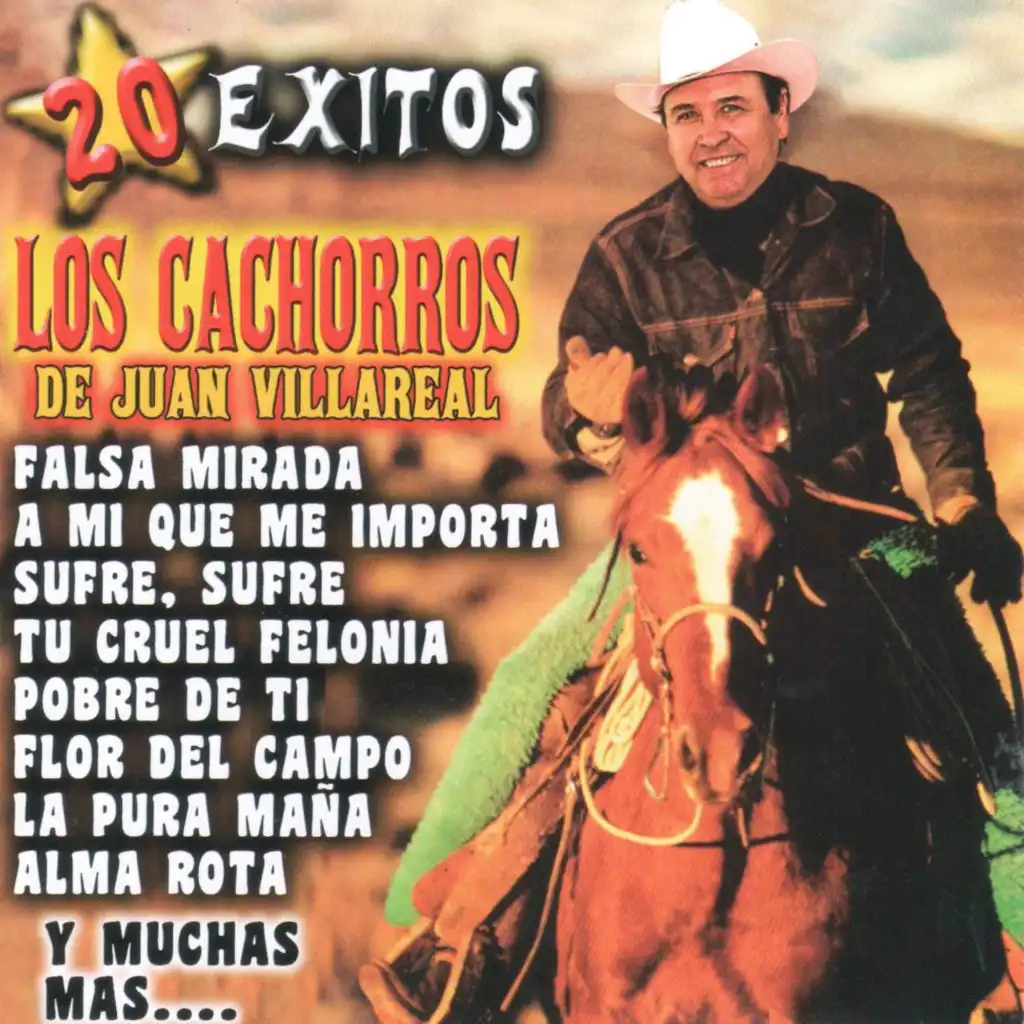 20 Exitos