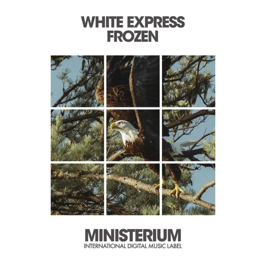 White Express