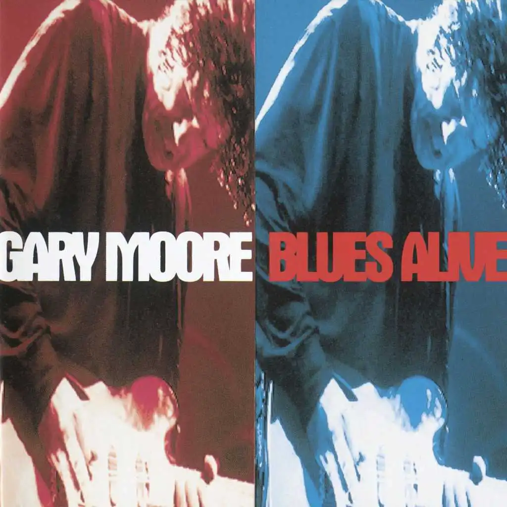 Story Of The Blues (Live From The Blues Alive Tour,United Kingdom/1993)