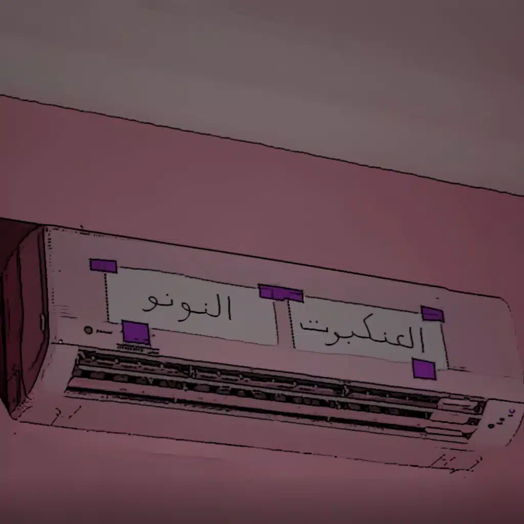 العنكبوت النونو