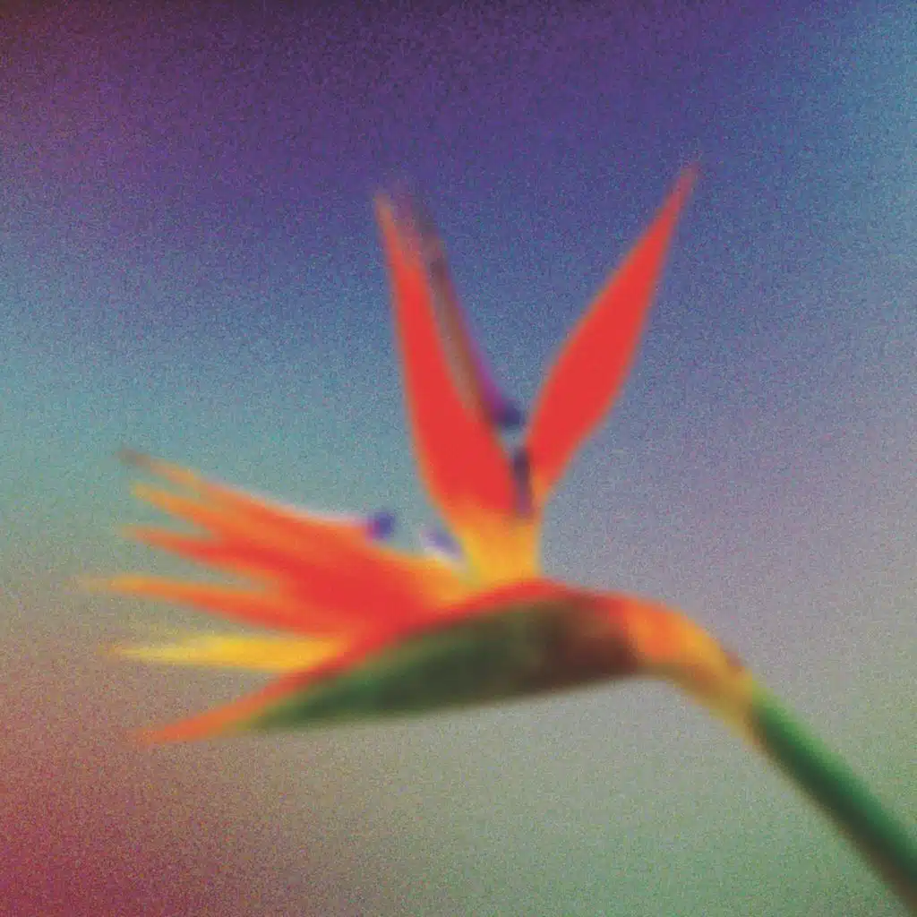 East Coast Pop Art Experimental