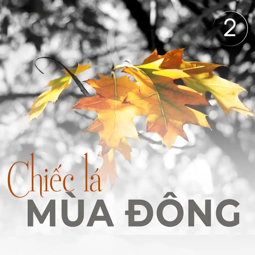 Chiếc lá mùa đông - Dis 2