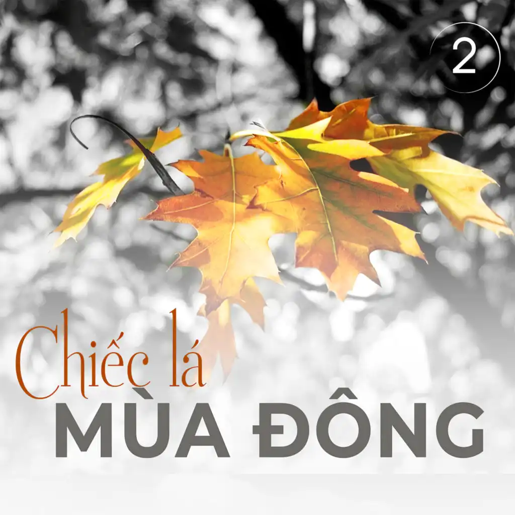 Chiếc lá mùa đông Vol 2