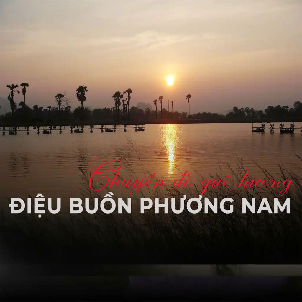 Chế Phi